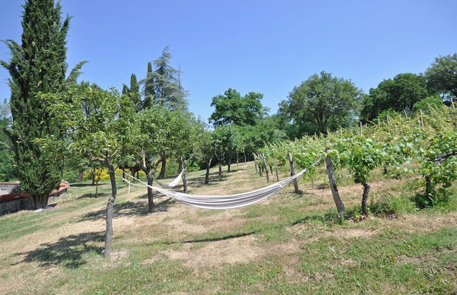 Villa Lo Scoiattolo - Photo 34