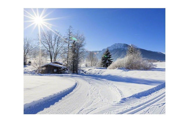 Hahn -kierngasshausl- - Foto 4