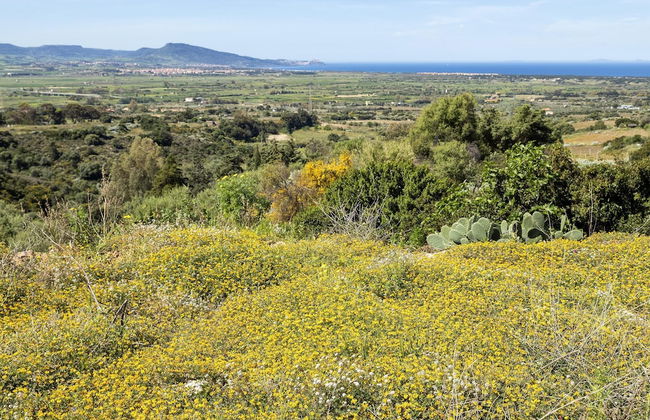 Sardinia Re - Il Poggio 23 - Foto 29