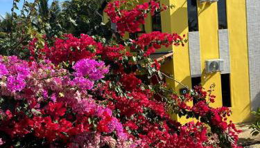 Pousada dos Sonhos - Photo 2, Garden