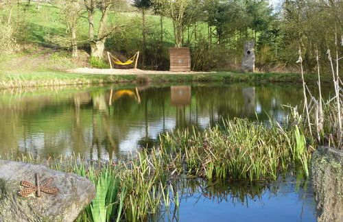 Ferien im Hunsrück - Foto 14