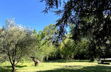 Maison entière 5 min du centre d'Avignon - Foto 6