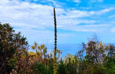Azienda Agricola Club Le Cannelle - Foto 82