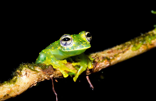 Randonnée de nuit dans le domaine de Rio Agujitas - Photo 1