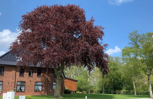 Apartment Studio Appartement Gartenblick by Interhome - Foto 11