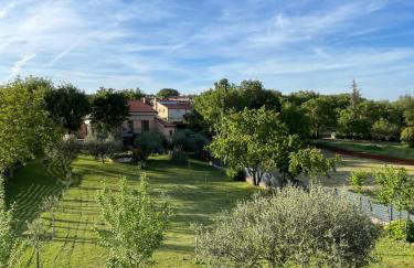 Apartments Sea Heaven - Photo 9