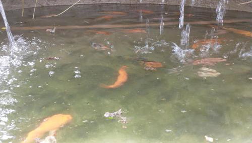 Casa no Condomínio Green Hills 4 quartos - Foto 2