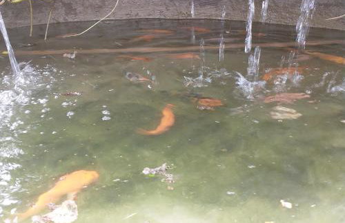 Casa no Condomínio Green Hills 4 quartos - Foto 2