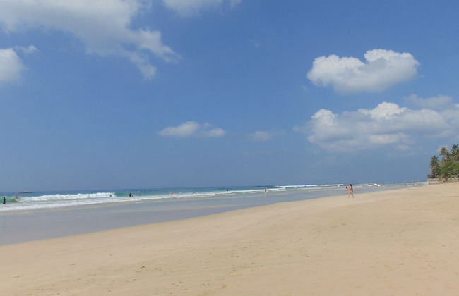 Sri Lankan Villa - Photo 74