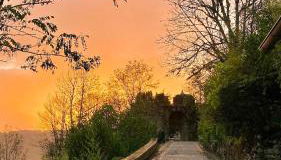 Lou Cambrou - Photo 2