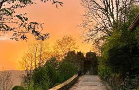 Lou Cambrou - Photo 2