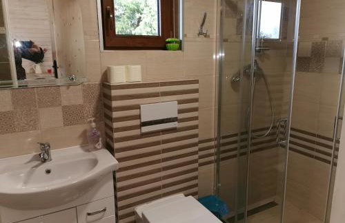 Domki Borowiackie nad brzegiem jeziora - Foto 20