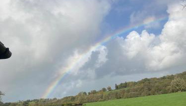 Littlewood Cabin - Foto 4, Garden view