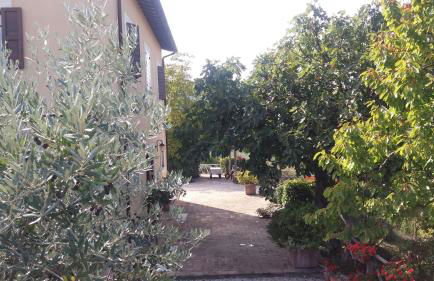 Tenuta Colverano - Foto 32