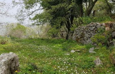 Sofia Mountain Getaway - Photo 7