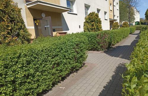 Kaja Apartament 52m2 - Foto 8