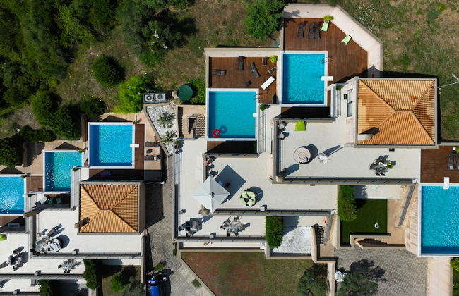 Golden King - Foto 48