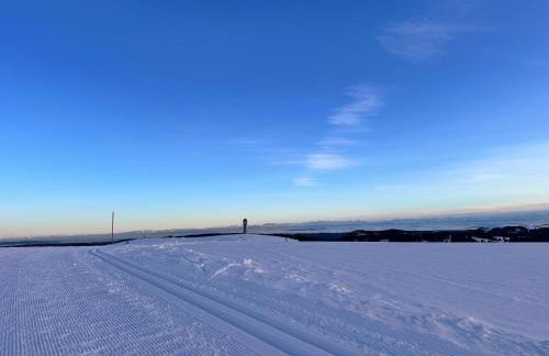 HAUS AM SEE - Natur Pur - Foto 7