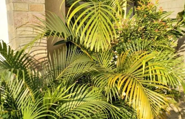 Caran Hotel Apartments - Foto 33