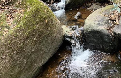 Chalé Bem-te-vi Vista espetacular da Serra da Mantiqueira - Foto 34