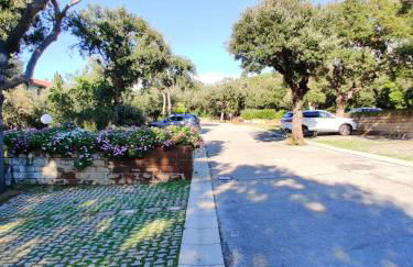 Holiday Homes Marina apartments - Foto 39