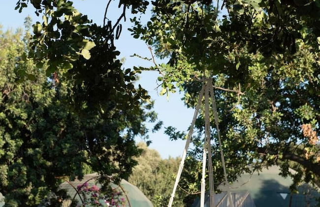 Lussoglamping - Photo 5