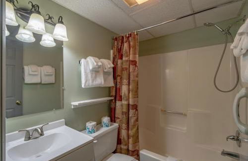 Swiss Mountain Village - Foto 12