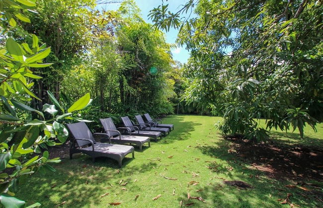 Palm Grove by Bluescape - Foto 38