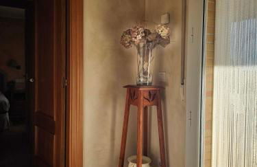 Mi Limón mi limonero - Foto 35