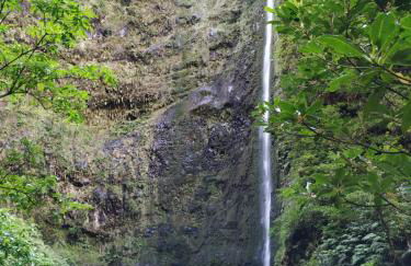 Casa Horizonte - Photo 32