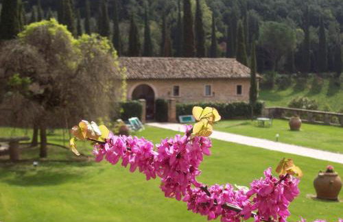 Abbazia San Pietro In Valle - Photo 40