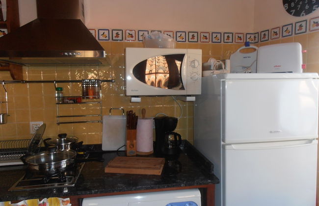 Al Llagar - Photo 11