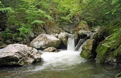 Wyndham Kingsgate 2 Bedroom Deluxe - Foto 15