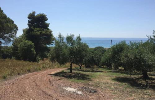 Vounaki Seaside Dreamland! - Foto 75