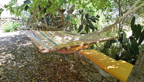 Casa il Carrubbo - Foto 4, Garden