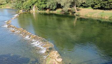 Galoma Korana - Foto 2