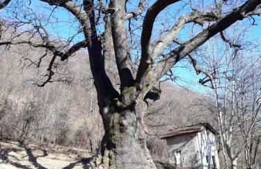 Casa Azzurra - Photo 51