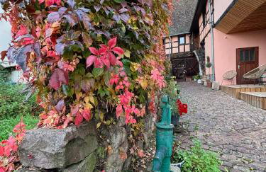 Gîte Origin Gueberschwihr - Photo 40