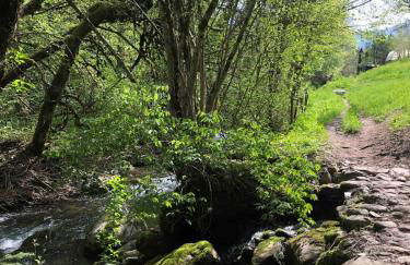 Chalet la Cabane d'Ernestine, petit-déjeuner inclus - Foto 40