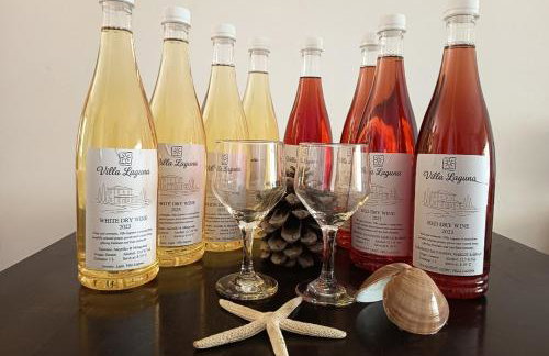 Villa Laguna -house by the beach - Foto 13