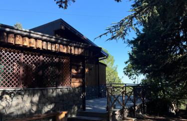 Etna Chalet Nicolosi - Foto 3