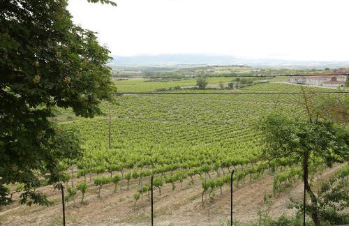 Vivienda Turística Lore Artian. - Photo 34