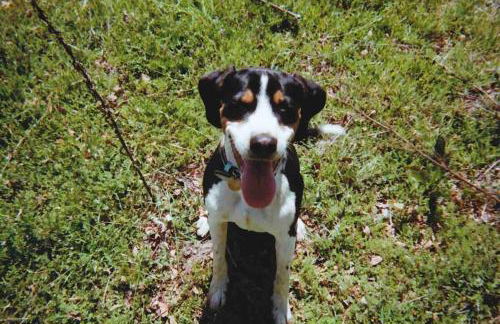 Delilah Ridge Winery Mid Mod Guesthouse - Foto 23