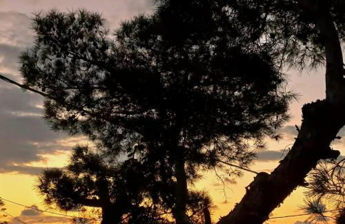 Kalimera Aegina - Foto 24