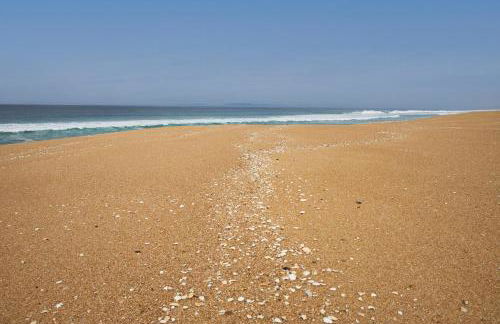 apart@CostaSantoAndré Beach - Foto 19