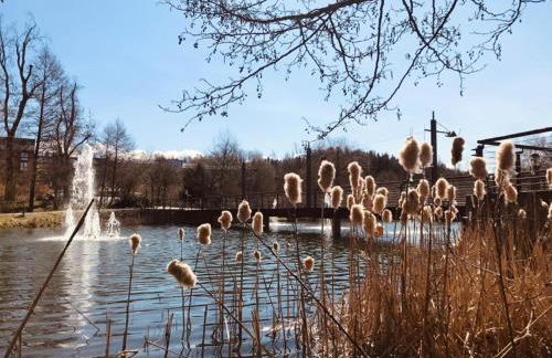 Ferienwohnung Familie Günther Warmbad - Foto 23