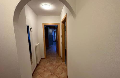 Maso Anna - Photo 66