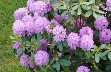 Sophienquelle Schweizermühle - Foto 8