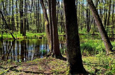 Domki Na Wzgórzu - domek nr 2 - Foto 22