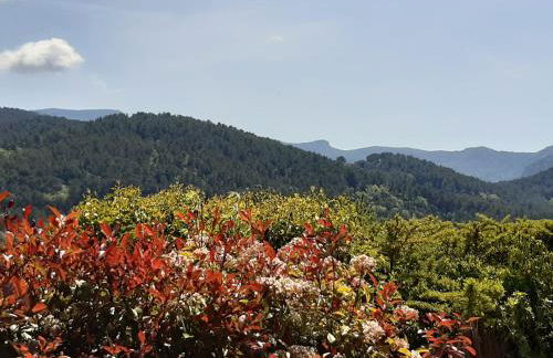 Villa l'Edenca - Foto 42